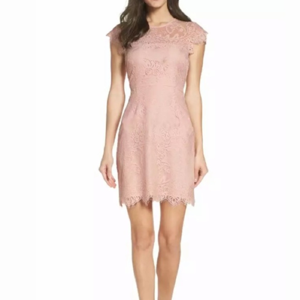 BB Dakota Lace Pink Cocktail Dress